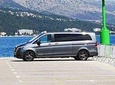 Transfer from Dubrovnik airport or Dubrovnik to Sun Gardens, Trsteno or Brsečine