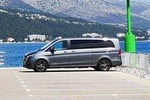 Transfer from Dubrovnik airport or Dubrovnik to Sun Gardens, Trsteno or Brsečine