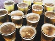 Brisbane Private Brewery Tour