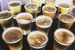 Brisbane Private Brewery Tour