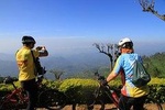 Half day extreme tea country cycling quest – Dikoya