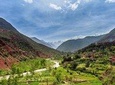 Private dailytrip to Ourika Valley « full immersion »
