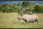 Overnight at Olpejeta Conservancy 