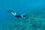 Discover Spearfishing course