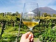 Tour of Pompeii with tour guide plus wine testing and lunch in a winery Vesuvius