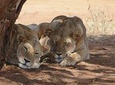 3days masai mara group joining safari