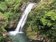 Grenada Sunshine Highlights Tour (Half Day Tour) 