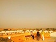 camel safari with night stay in the desert, 