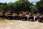 Express and Extreme ATV Jungle Adventure and Tequila Tasting
