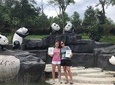 Chengdu Wolong Panda Base Volunteer Experience Trip