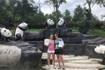 Chengdu Wolong Panda Base Volunteer Experience Trip
