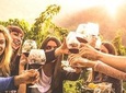 Mt Tamborine Winery Tour - Local Pickup