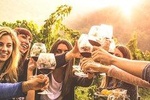 Mt Tamborine Winery Tour - Local Pickup