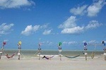 Holbox Magic Island Tour