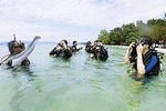 (2 Dives) Discover Scuba Diving Kota Kinabalu