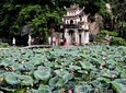 Discover Trang An Natural World Heritage, Bich Dong Pagoda, Cycling Day Tour