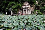 Discover Trang An Natural World Heritage, Bich Dong Pagoda, Cycling Day Tour