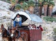Covered Wagon Adventure & BBQ