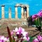 Follow Apostle Paul steps (Athens, Corinth, Loutraki, Perachora) 10 hours tour 