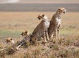 Overnight Tsavo East National Park Safari from Mombasa OR Diani Beach