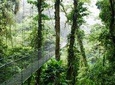 Shared shuttle Monteverde to Manuel Antonio