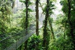 Shared shuttle Monteverde to Manuel Antonio