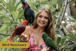 Lombok Safari Tour