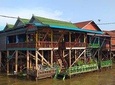 Cruise to Kompong Phluk floating village 