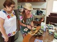 Traditional Family Kitchen in Cozumel 