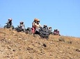 Half day tour : Giza pyramids with quad bikes