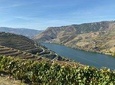 Douro Valley and Porto from Lisbon - Wine and Cheese Tasting
