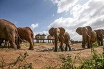 3 DAYS SALTLICK AND RHINO VALLEY LODGE SAFARI (minimum 2 pax)