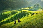 Trekking Sapa: Cat Cat - Lao Chai Ta Van 2D1N (Hotel 3 Star) From Hanoi City