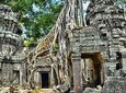 Small Group Angkor Wat Day Tour 