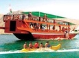 Dibba Musandam Tour with Transfer