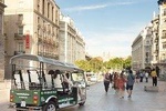 Christmas lights tour of Madrid by electric tuk-tuk