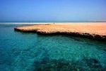 Tiran Island Snorkeling 