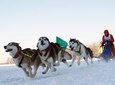 1day Dog Sledging, Visit The Terelj National Park And Chenggis Khaan Statue.