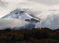The Best Tour in Ecuador
