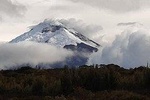 The Best Tour in Ecuador