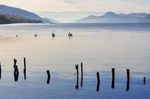 The Quieter side of Loch Ness