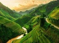 8 Day Package Private Tour Hanoi - Ninh Binh - Sapa - Halong Bay 