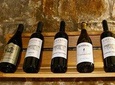 Tasting of 5 Wines