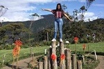 Puyo Selva and Baños 2 Days 1 Night Various Activities Hotel All Inclusive Food