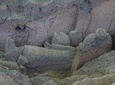 Afternoon Tour to Terracotta Warriors Museum