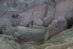 Afternoon Tour to Terracotta Warriors Museum
