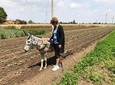 Egypt Day tour in countryside