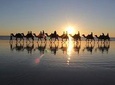Agadir Sunset Camel Ride with dinner 