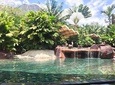 Costa Rica Transportation Package for 7 days: City, Beach, Volcano