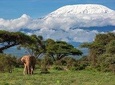 3 Days Amboseli National Park